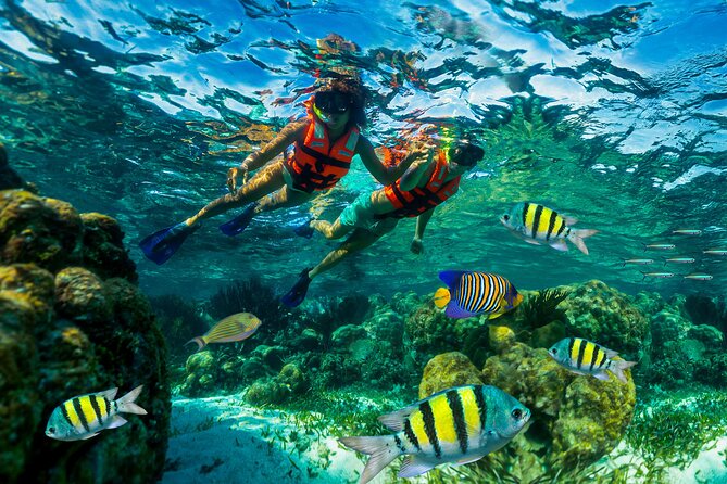 Mergulho Snorkeling
